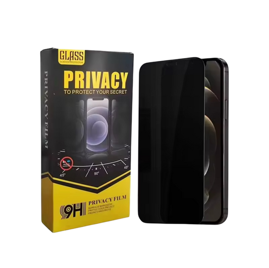 Privacy Glass IPhone 10P Box